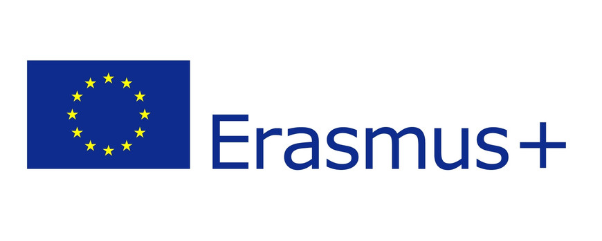 Erasmus Flag